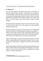 Diplomdarbs 'Pretkorupcijas pasākumu plāni, to izstrādes process un pielietojums: Rīgas domes', 18.