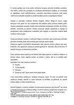 Diplomdarbs 'Pretkorupcijas pasākumu plāni, to izstrādes process un pielietojums: Rīgas domes', 19.