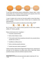 Diplomdarbs 'Pretkorupcijas pasākumu plāni, to izstrādes process un pielietojums: Rīgas domes', 20.