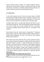 Diplomdarbs 'Pretkorupcijas pasākumu plāni, to izstrādes process un pielietojums: Rīgas domes', 25.
