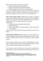 Diplomdarbs 'Pretkorupcijas pasākumu plāni, to izstrādes process un pielietojums: Rīgas domes', 33.