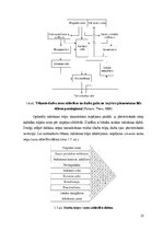 Diplomdarbs 'Kafejnīcas "Tērbata" ražošanas procesa optimizācija', 25.