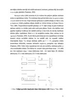 Diplomdarbs 'Kafejnīcas "Tērbata" ražošanas procesa optimizācija', 31.