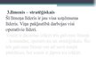 Prezentācija 'Līderība', 11.