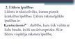 Prezentācija 'Līderība', 19.