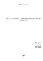 Referāts 'Oficiālā un neoficiālā līdera ietekme uz grupas darba efektivitāti', 1.