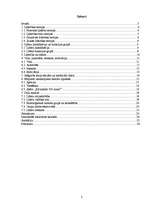 Referāts 'Oficiālā un neoficiālā līdera ietekme uz grupas darba efektivitāti', 2.