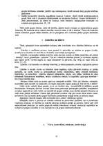 Referāts 'Oficiālā un neoficiālā līdera ietekme uz grupas darba efektivitāti', 10.