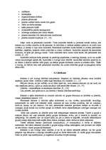 Referāts 'Oficiālā un neoficiālā līdera ietekme uz grupas darba efektivitāti', 12.