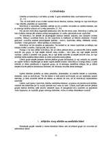 Referāts 'Oficiālā un neoficiālā līdera ietekme uz grupas darba efektivitāti', 13.