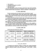 Referāts 'Oficiālā un neoficiālā līdera ietekme uz grupas darba efektivitāti', 19.