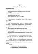 Konspekts 'Modernās mākslas centrs Daugavpilī', 1.