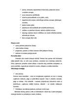 Konspekts 'Modernās mākslas centrs Daugavpilī', 2.