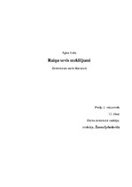 Referāts 'Raiņa sevis meklējumi', 1.