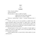 Referāts 'Raiņa sevis meklējumi', 2.