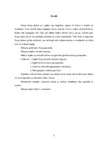 Referāts 'Raiņa sevis meklējumi', 5.