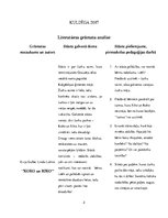 Konspekts 'Literatūras grāmatu analīze', 2.