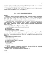 Referāts 'Va/s "Latvijas Pasta" organizatoriskās struktūras konversija', 16.