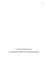 Referāts 'Va/s "Latvijas Pasta" organizatoriskās struktūras konversija', 29.