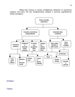 Referāts 'Va/s "Latvijas Pasta" organizatoriskās struktūras konversija', 40.