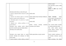 Konspekts 'Integrēta stunda (vizuālā māksla, rokdarbi, mūzika - valsts eksāmens)', 13.