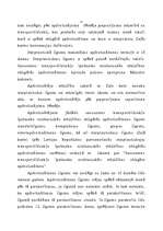 Referāts 'Zaļās kartes sistēma apdrošināšanā', 4.