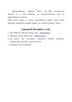 Referāts 'Zaļās kartes sistēma apdrošināšanā', 12.