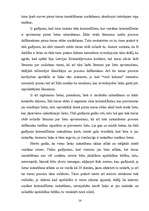 Diplomdarbs 'Tiesas izmeklēšana', 13.