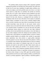 Diplomdarbs 'Tiesas izmeklēšana', 14.