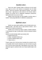 Referāts 'Cukurs', 2.