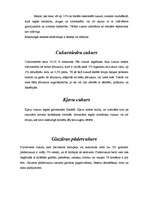 Referāts 'Cukurs', 4.