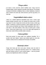 Referāts 'Cukurs', 5.