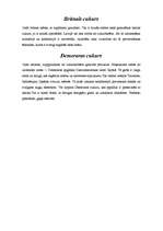 Referāts 'Cukurs', 6.