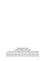 Referāts 'Kas ir likums valstī?', 8.