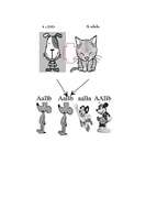 Konspekts 'Komplementaritāte', 2.