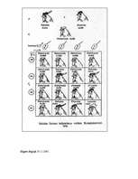 Konspekts 'Komplementaritāte', 3.
