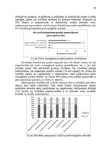Diplomdarbs 'E-komercija - kolektīvās iepirkšanās portāls', 38.