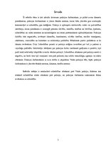 Referāts 'Sabiedrības dažādības izpratne - policijas darbinieka rīcības pamatprincips', 3.