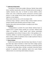 Prakses atskaite 'Prakses atskaite VAS "Latvijas Hipotēku un zemes banka"', 5.