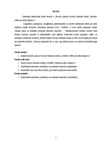 Referāts 'Smaržu pasaule Patrika Zīskinda darbā "Parfīms: stāsts par kādu slepkavu"', 2.