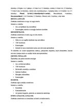 Referāts 'Smaržu pasaule Patrika Zīskinda darbā "Parfīms: stāsts par kādu slepkavu"', 28.