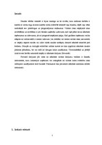 Referāts 'Forvarda (termiņa) valūtas maiņas līgumi. Forvarda valūtas maiņas līguma definīc', 3.