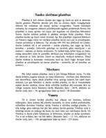 Referāts 'Prezentācija ar Power Point palīdzību', 8.