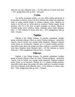 Referāts 'Prezentācija ar Power Point palīdzību', 10.