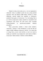 Referāts 'Nāvessods', 9.