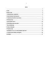 Biznesa plāns 'Ķīmiskās ražošanas uzņēmuma izveide', 1.