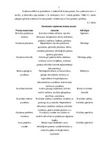 Biznesa plāns 'Ķīmiskās ražošanas uzņēmuma izveide', 7.