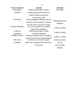 Biznesa plāns 'Ķīmiskās ražošanas uzņēmuma izveide', 8.