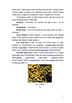 Referāts 'Simbioze - sēne, aļģe', 5.