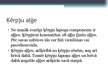 Referāts 'Simbioze - sēne, aļģe', 20.